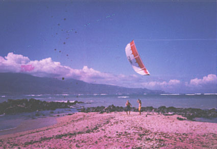 Pete Cabrinha's new kite